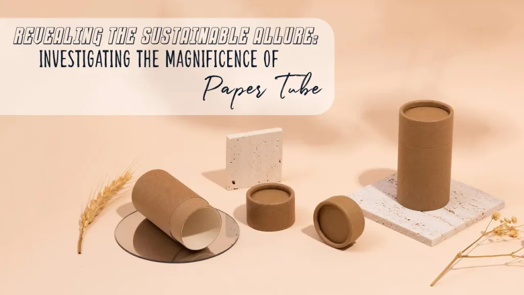 The Sustainable Allure Investigating The Magnificence Of Paper Tube