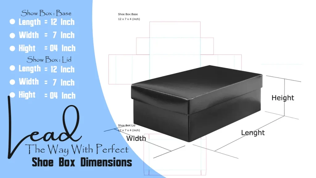 Shoe Box Dimensions