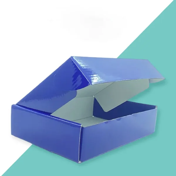 Foldable Mailer Box