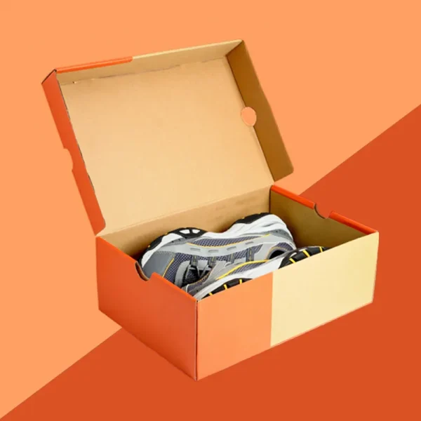 Foldable Shoe Box