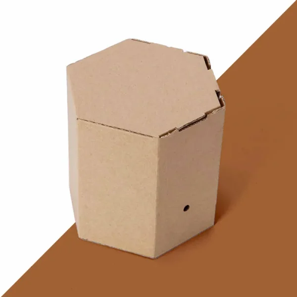 Hexagon Box