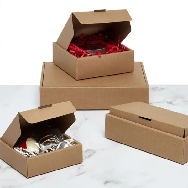 Double Wall Tuck Top Packaging