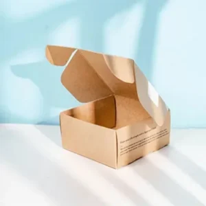 Custom Kraft Mailers