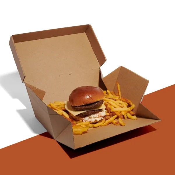 Takeaway Burger Boxes